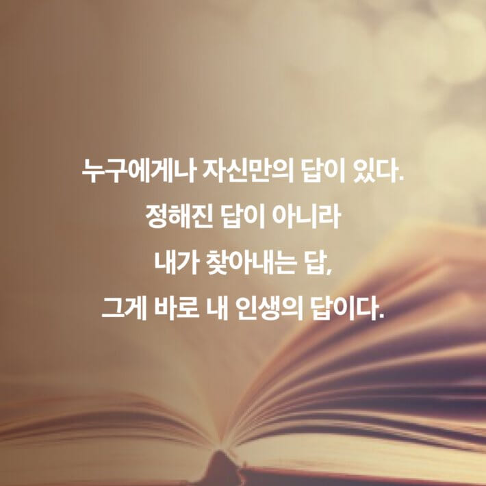 카드뉴스3