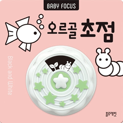 BABY FOCUS 오르골 초점