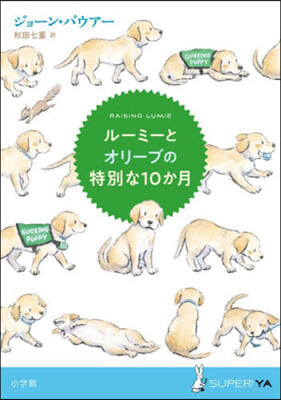 ル-ミ-とオリ-ブの特別な10か月