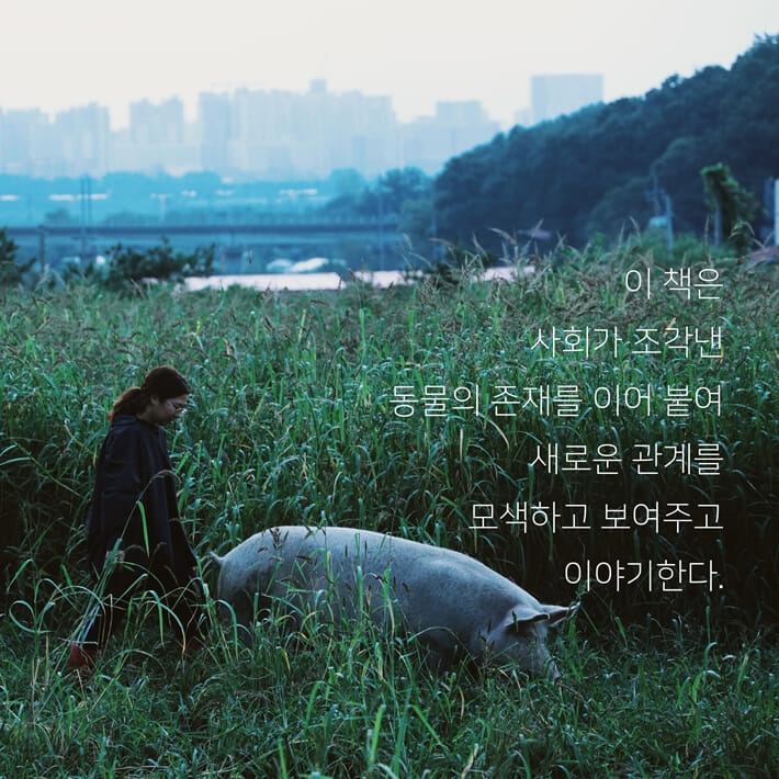카드뉴스7