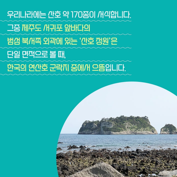 카드뉴스3