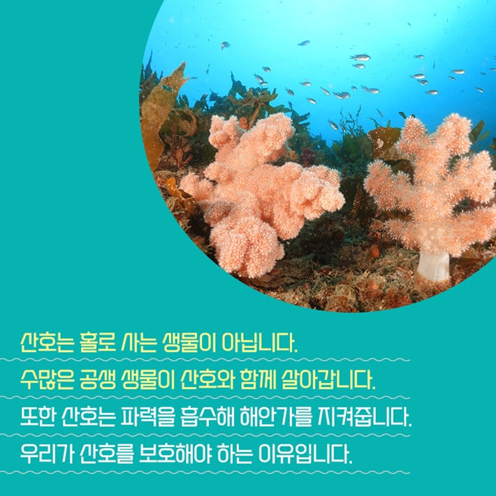 카드뉴스4