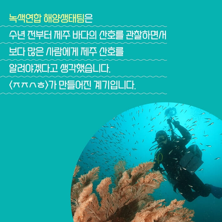 카드뉴스5