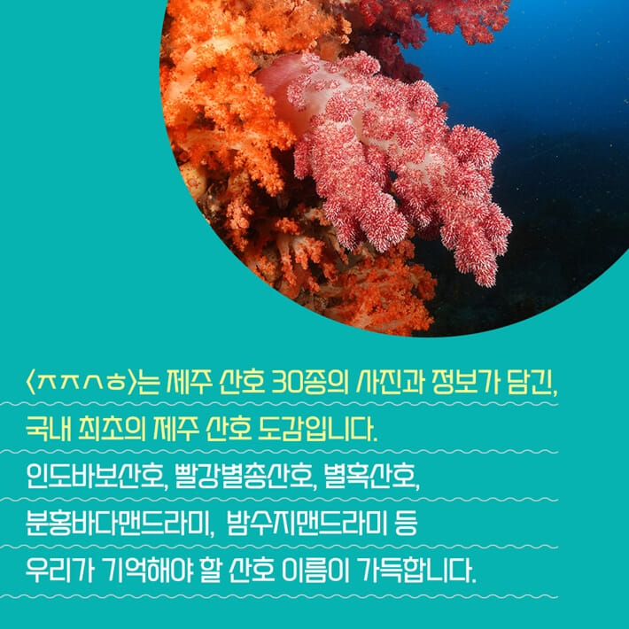 카드뉴스6