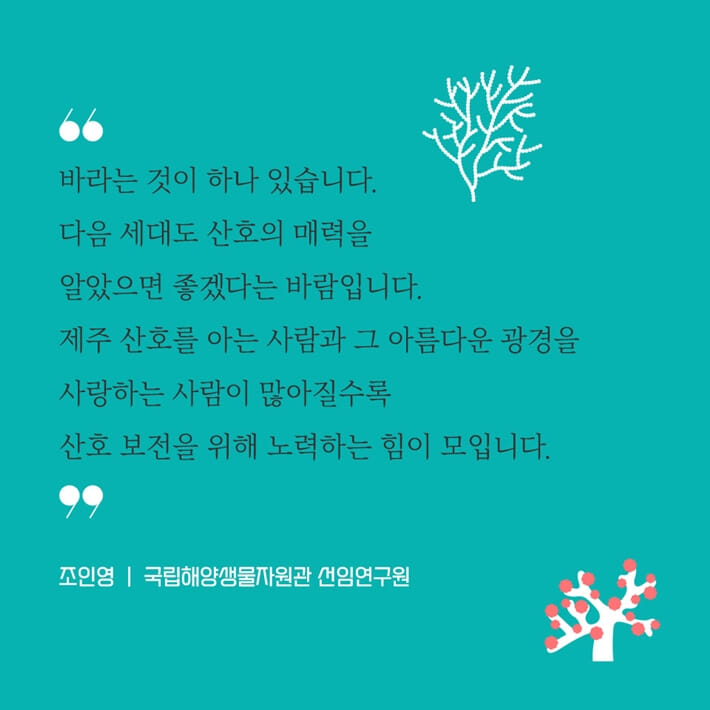 카드뉴스7