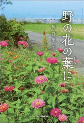 野の花の葉に