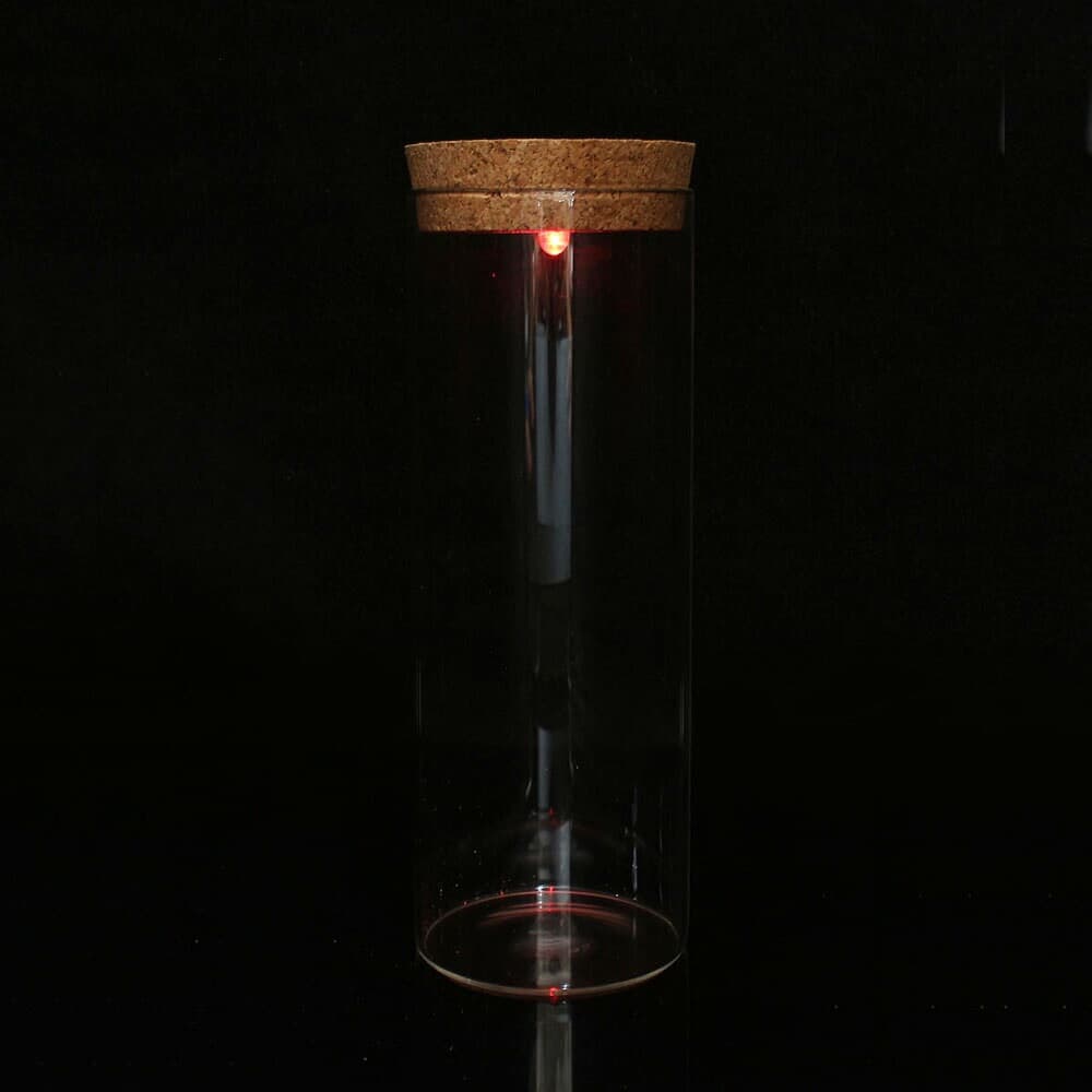 마리모 키우기 LED 유리병 반려식물 코르크병