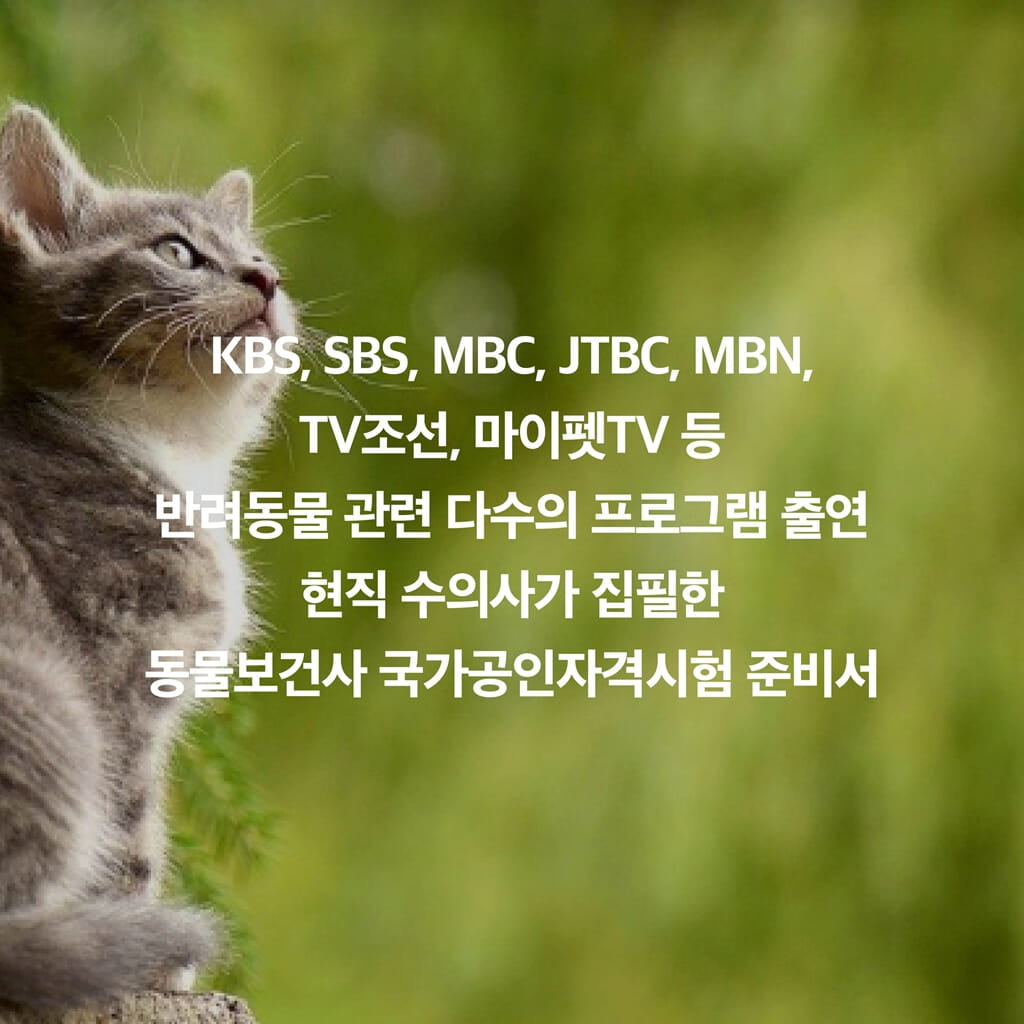 카드뉴스2