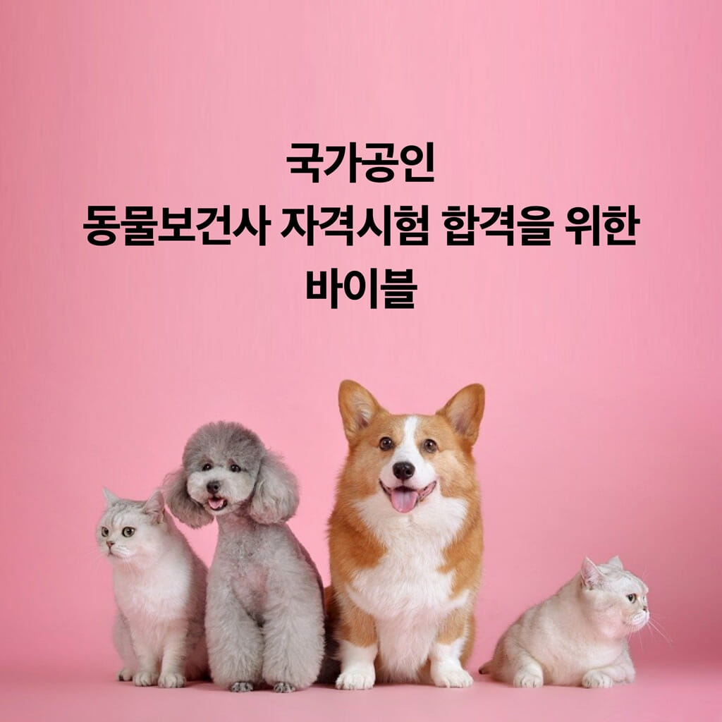 카드뉴스3