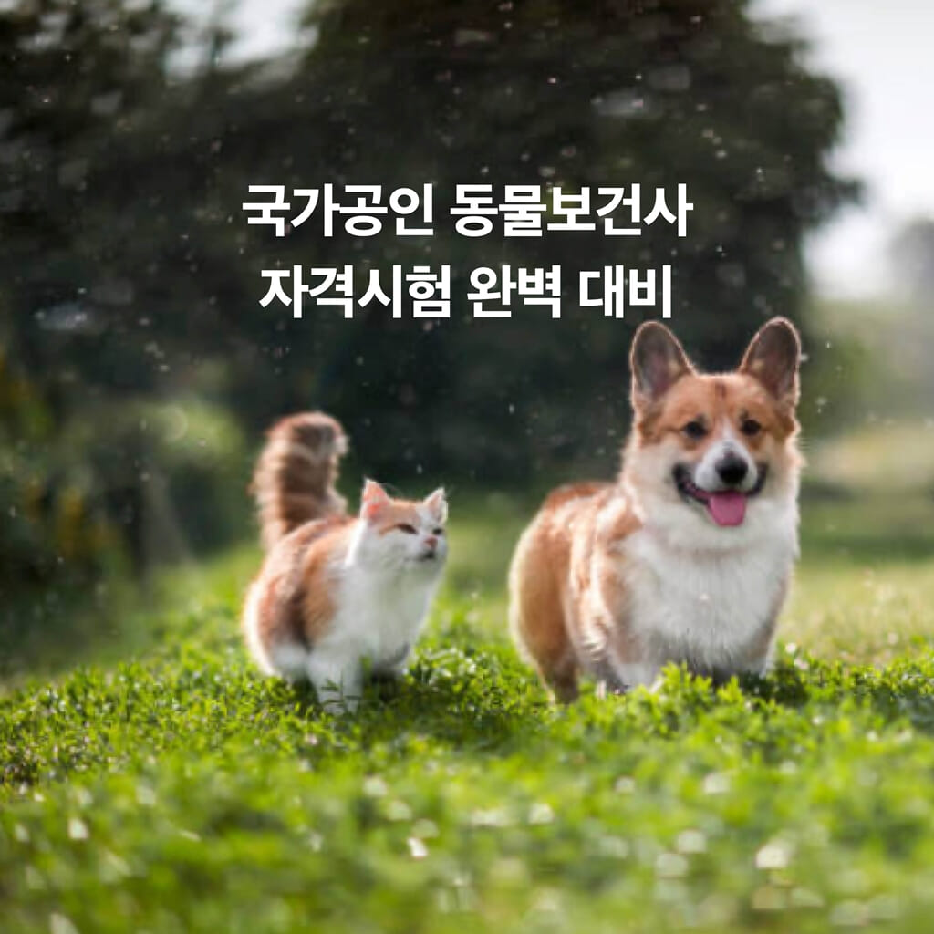 카드뉴스4