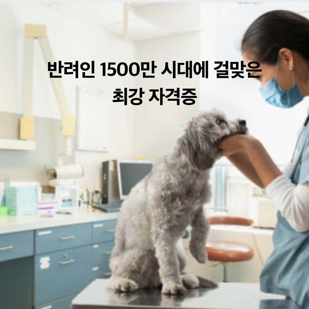 카드뉴스5