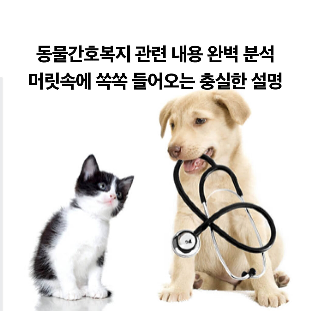 카드뉴스6