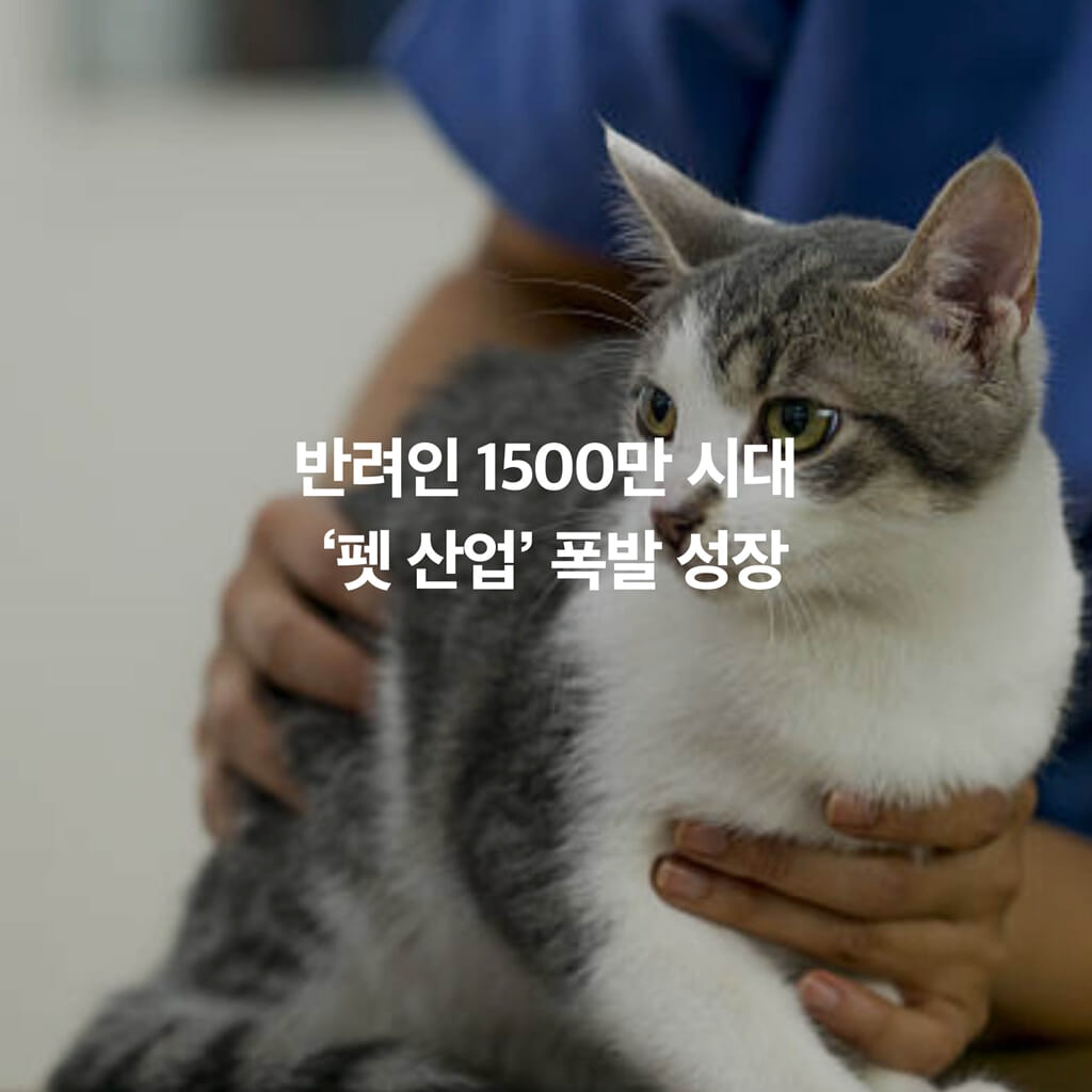 카드뉴스8