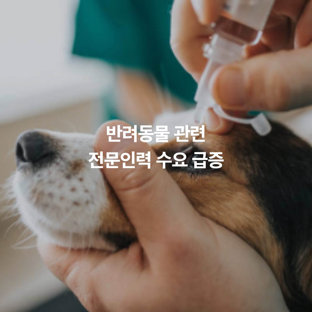카드뉴스9