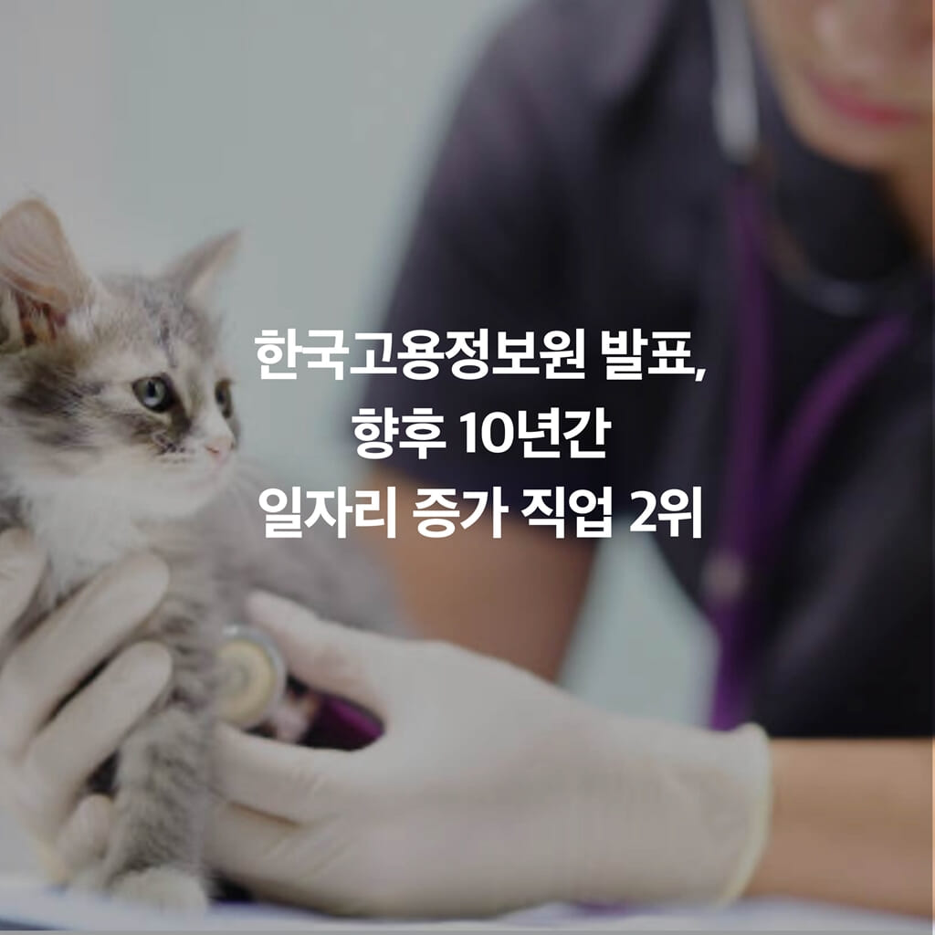 카드뉴스10