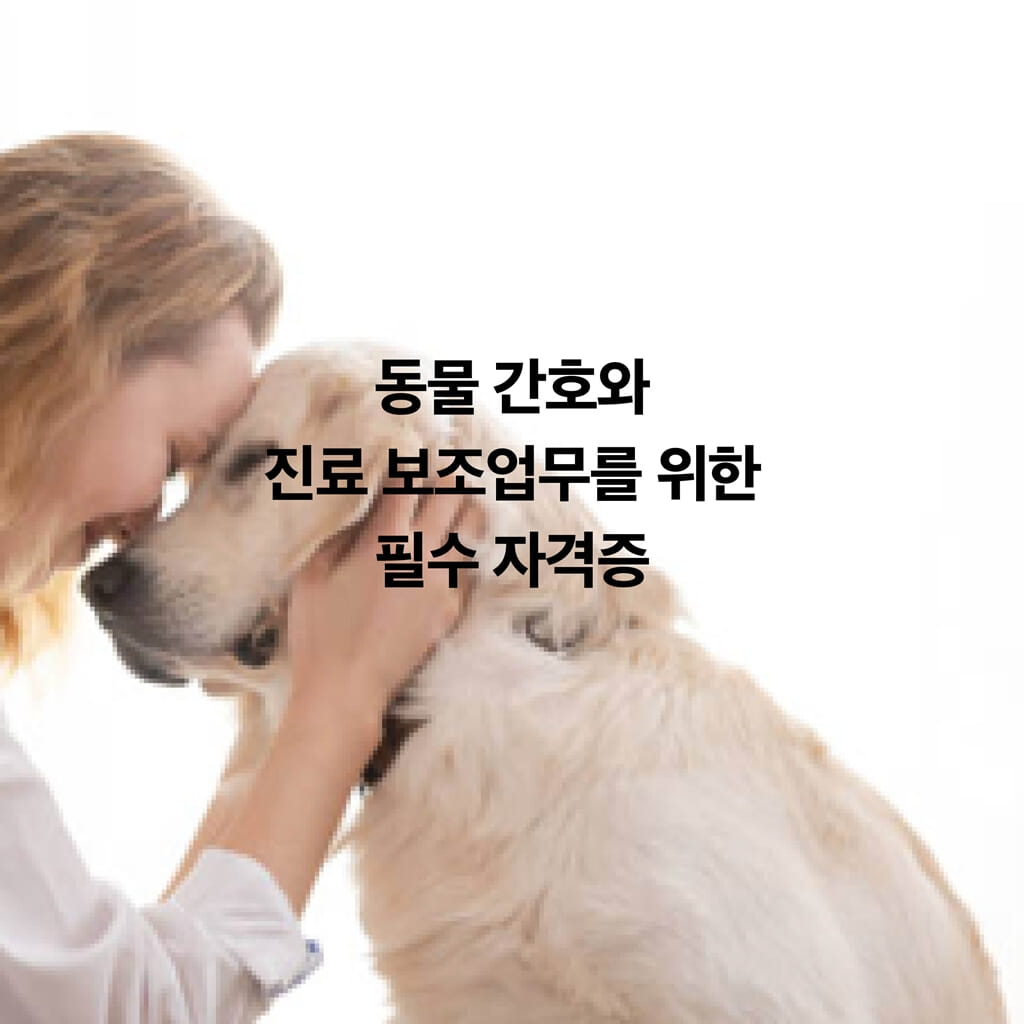 카드뉴스11