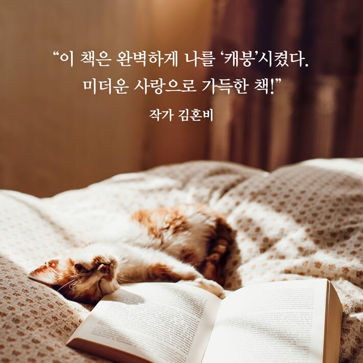 카드뉴스1