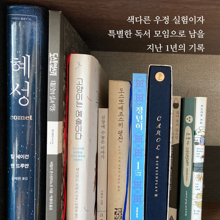 카드뉴스6