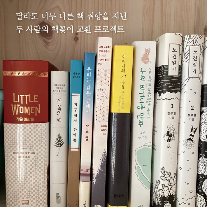 카드뉴스7