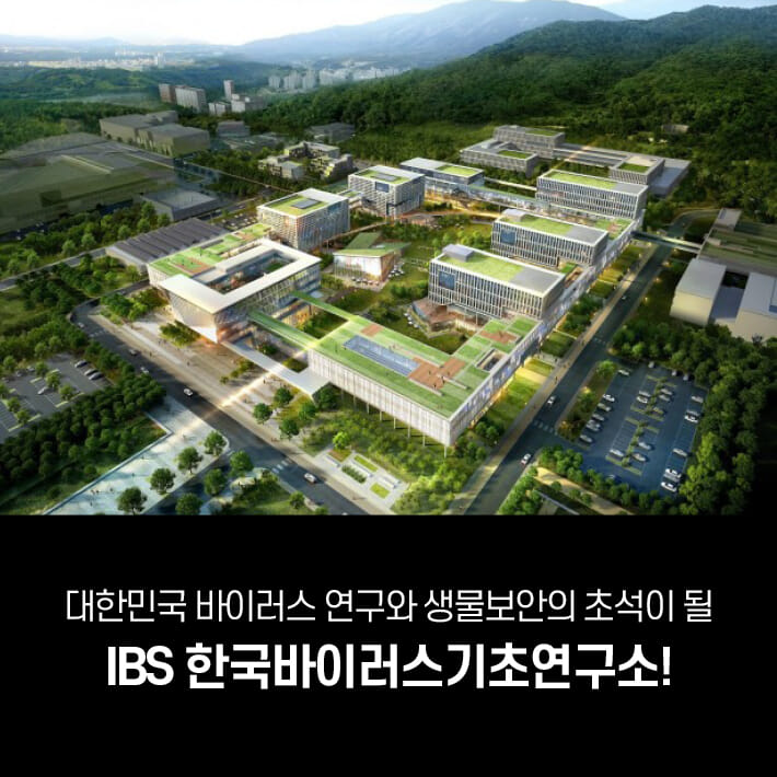 카드뉴스8