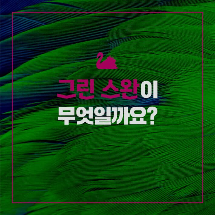 카드뉴스1