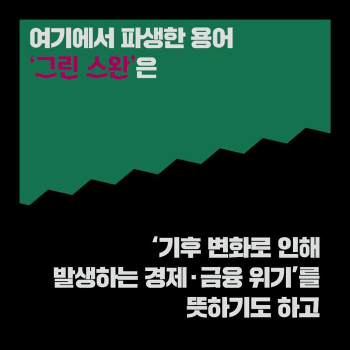 카드뉴스3