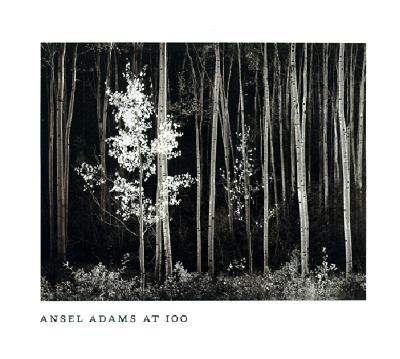 Ansel Adams at 100