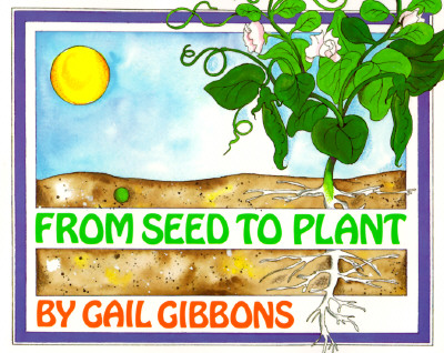 From Seed to Plant (Paperback, Reprint)