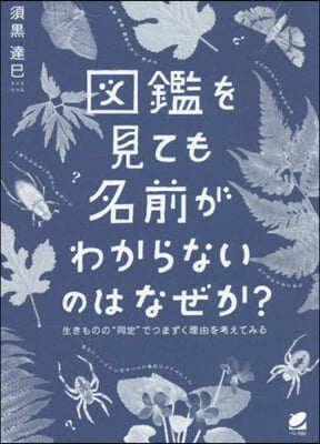 圖鑑を見ても名前がわからないのはなぜか?