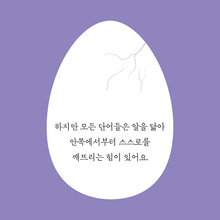 카드뉴스3