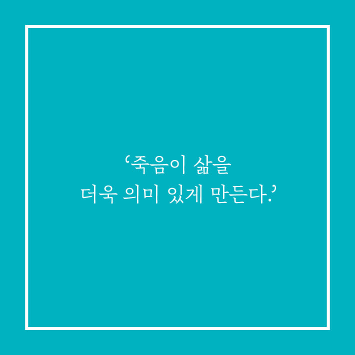 카드뉴스8