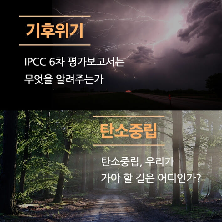 카드뉴스6