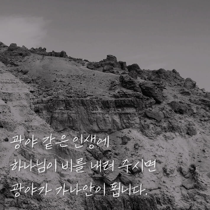 카드뉴스1