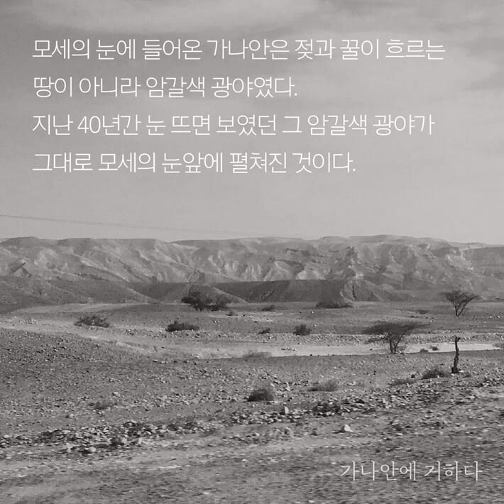 카드뉴스2