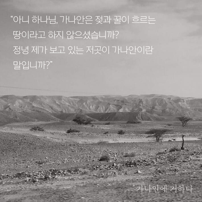 카드뉴스3