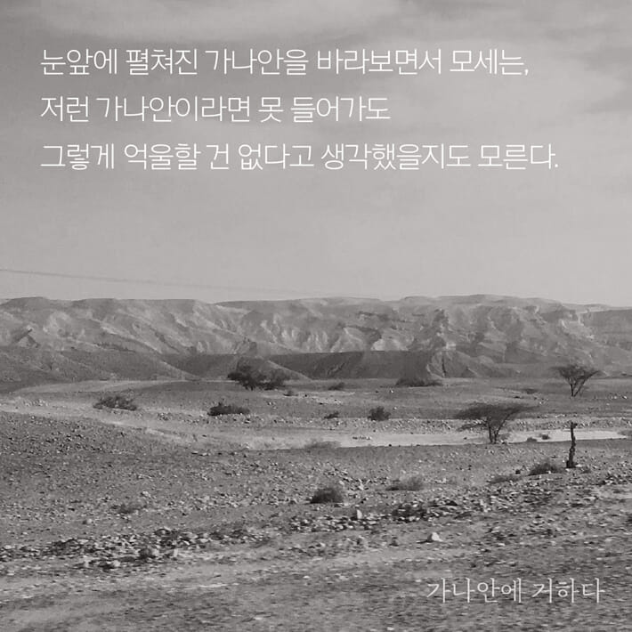 카드뉴스4