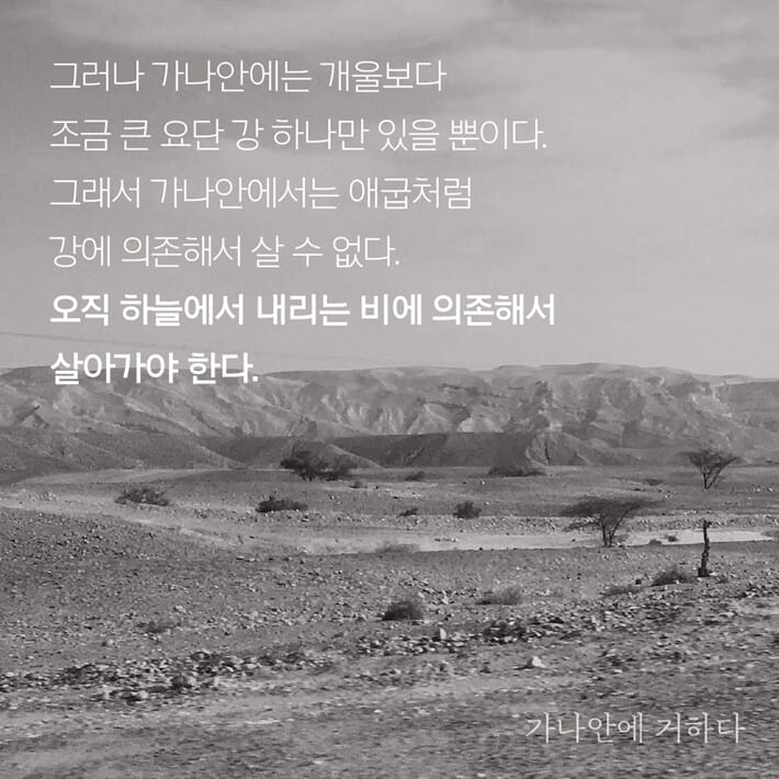 카드뉴스6