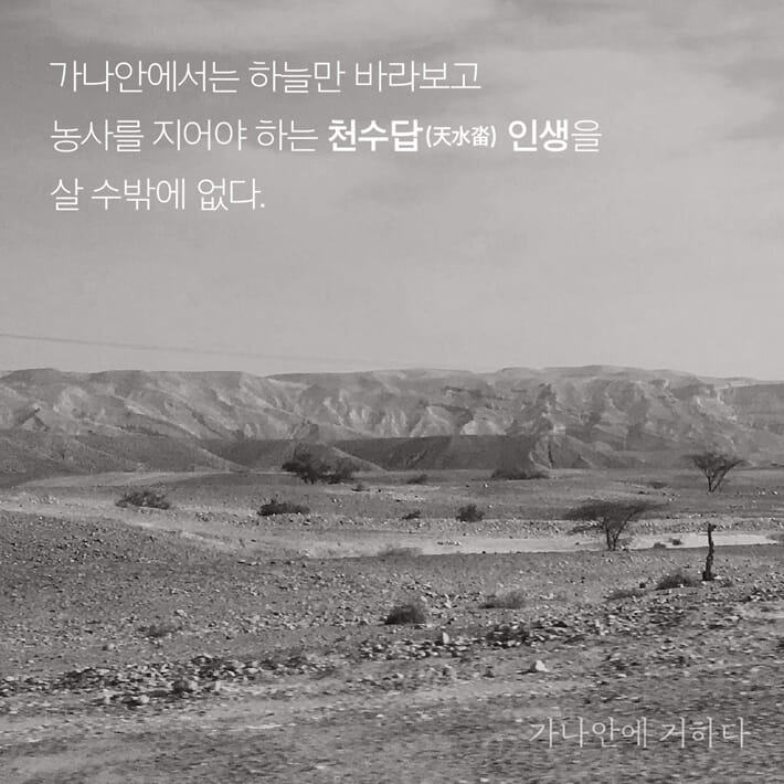 카드뉴스7