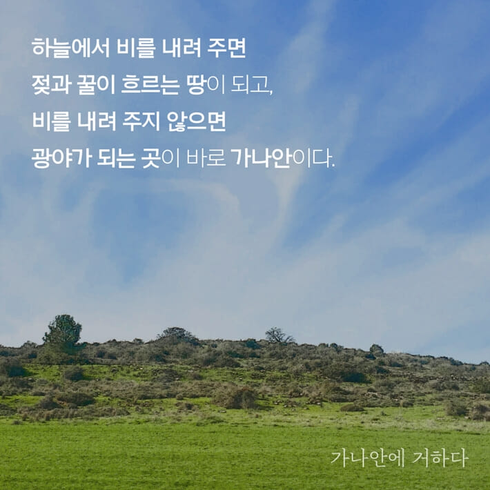 카드뉴스8