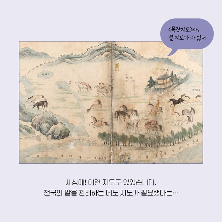 카드뉴스10