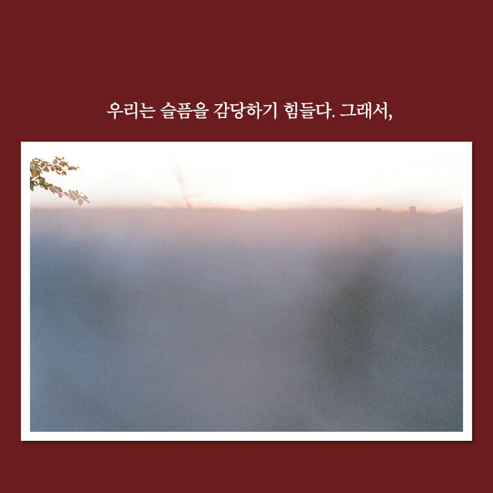 카드뉴스4