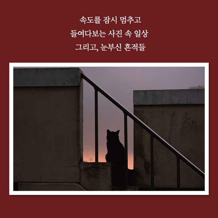 카드뉴스8