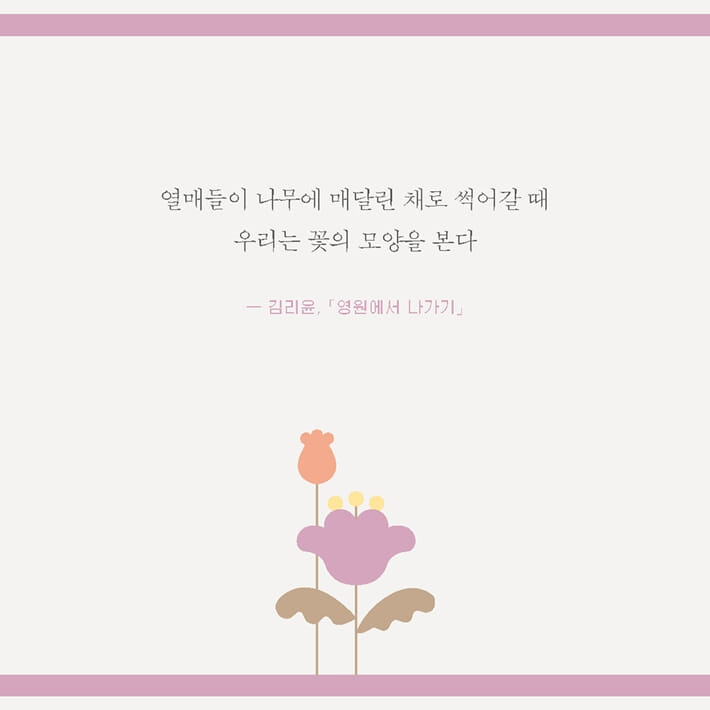 카드뉴스6
