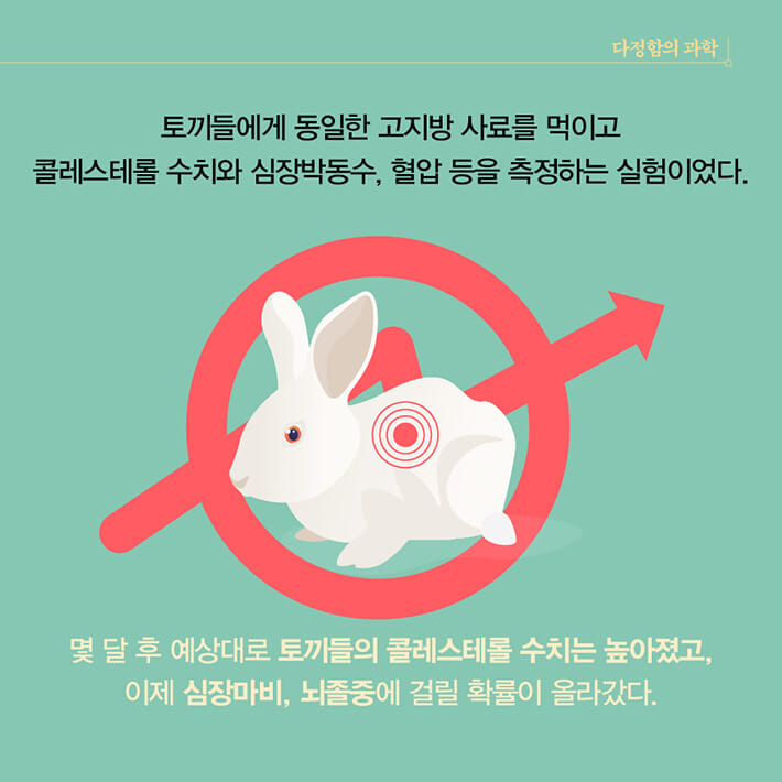 카드뉴스3