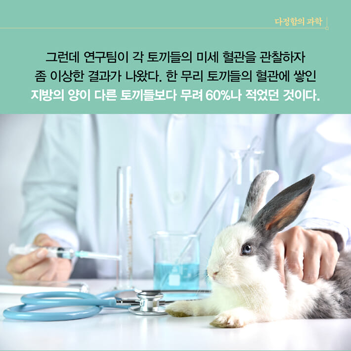 카드뉴스4