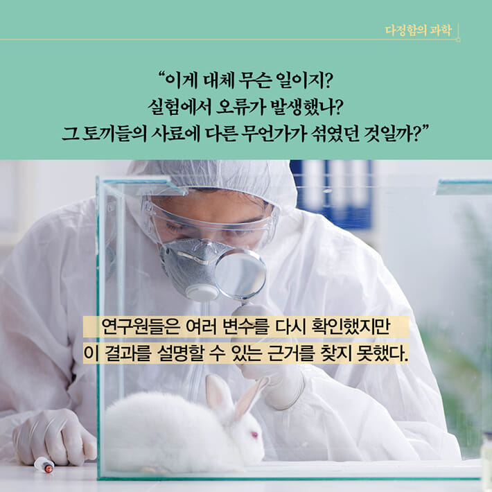 카드뉴스5