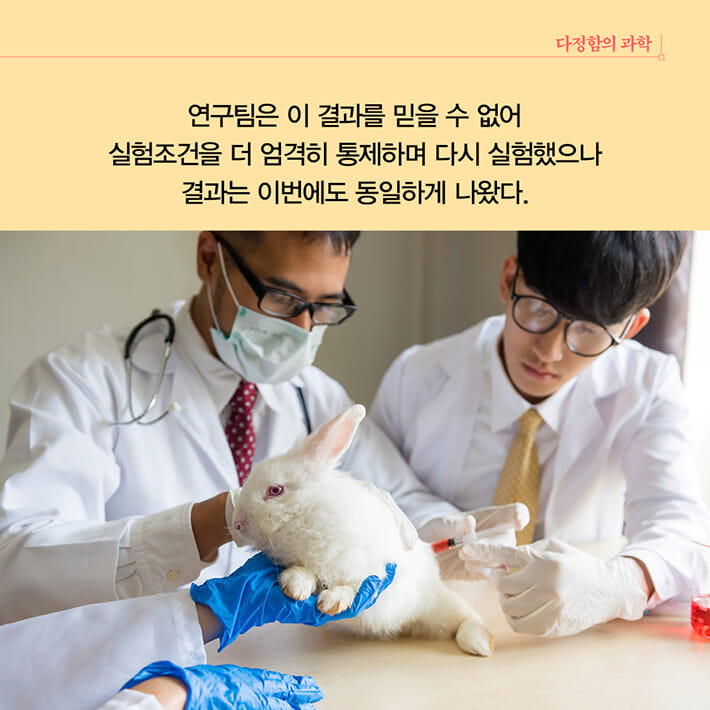 카드뉴스8