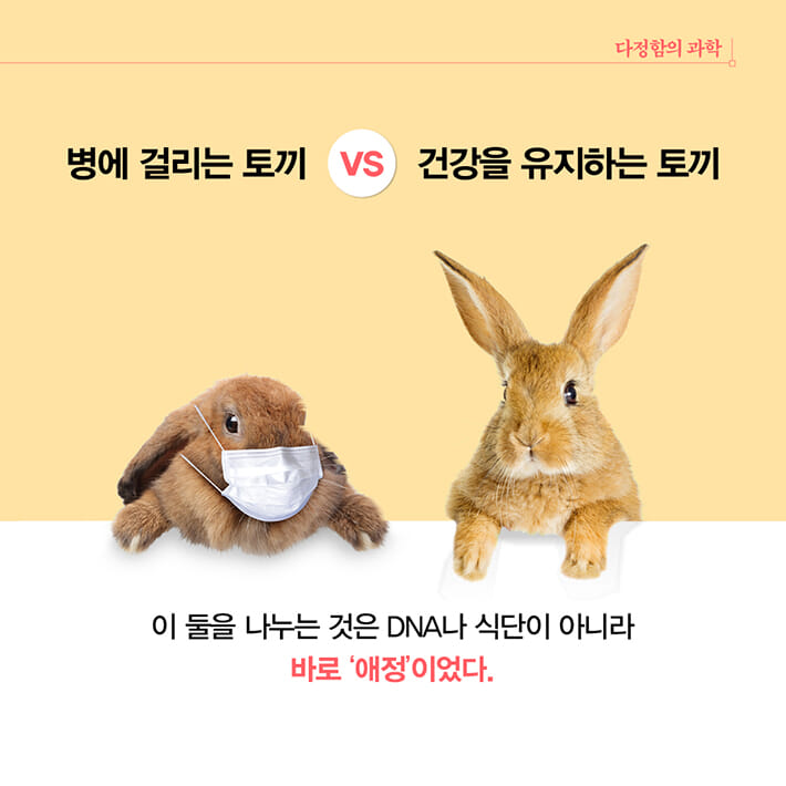 카드뉴스9