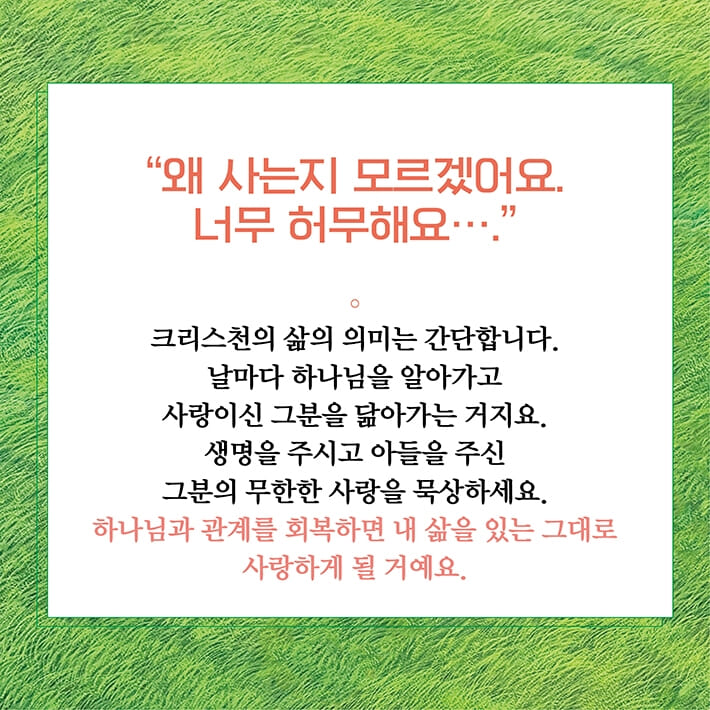 카드뉴스6
