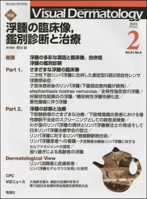 Visual D. 2022年2月號 Vol.21 No.2 